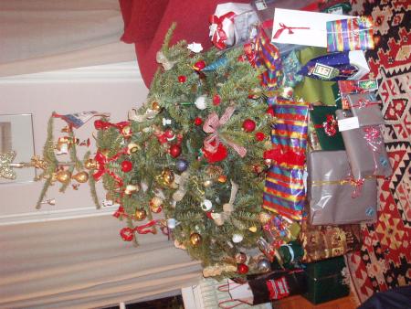 NOWEL AVEC RAPHI PUB AND ME(sapin)