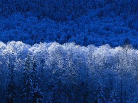 hiver