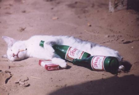 hic!