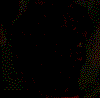no titrer