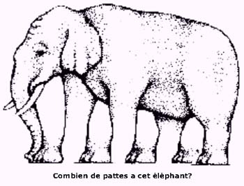 cb de pattes a cet éléphants ??