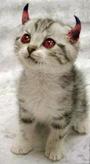 chat-diable