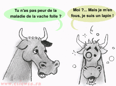 no titre